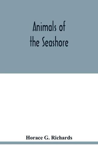 Cover image for Animals of the seashore