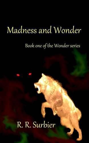 Cover image for Madness and Wonder: Book one of the Wonder series