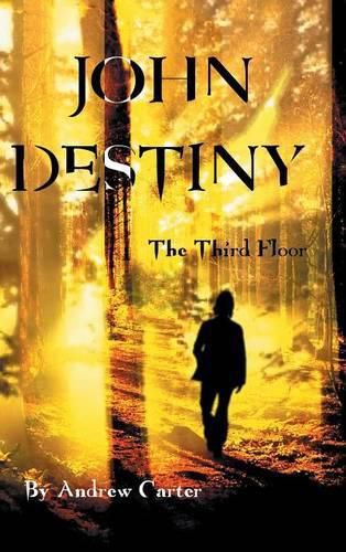 Cover image for John Destiny