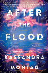 Cover image for After The Flood: A Novel