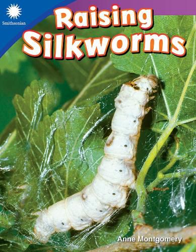 Cover image for Raising Silkworms