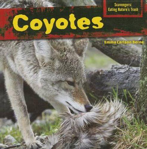 Coyotes