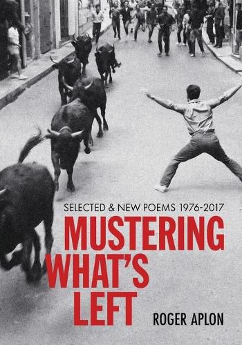 Cover image for Mustering What's Left