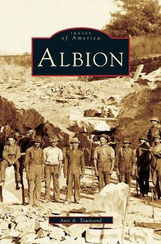 Cover image for Albion