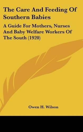 Cover image for The Care and Feeding of Southern Babies: A Guide for Mothers, Nurses and Baby Welfare Workers of the South (1920)