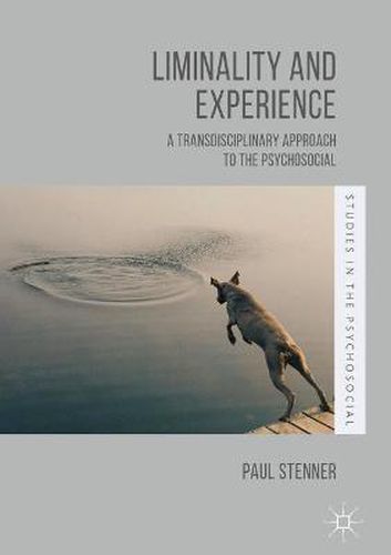 Cover image for Liminality and Experience: A Transdisciplinary Approach to the Psychosocial