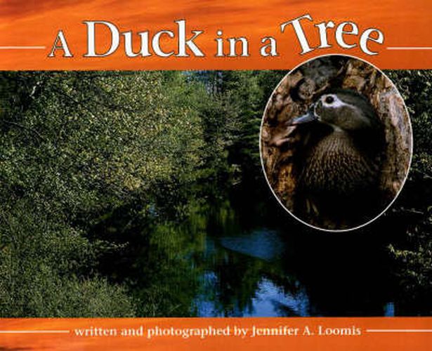 Cover image for Duck in a Tree