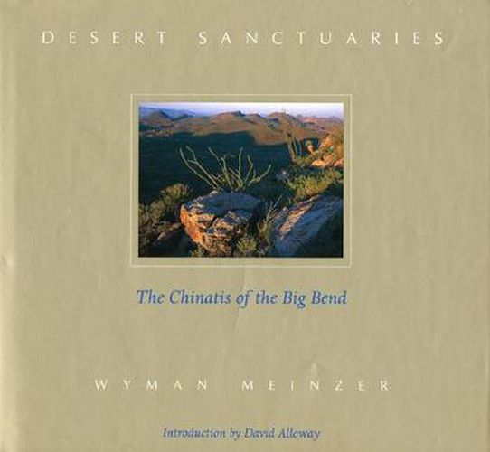 Cover image for Desert Sanctuaries: The Chinatis of the Big Bend