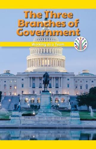 The Three Branches of Government: Working as a Team