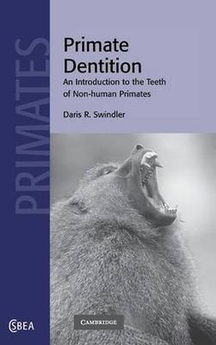 Cover image for Primate Dentition: An Introduction to the Teeth of Non-human Primates