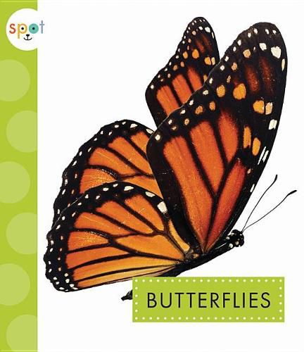 Cover image for Butterflies