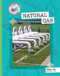 Cover image for Natural Gas