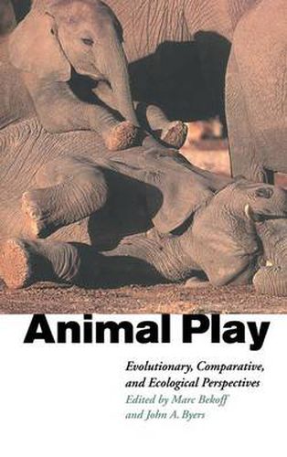 Animal Play: Evolutionary, Comparative and Ecological Perspectives