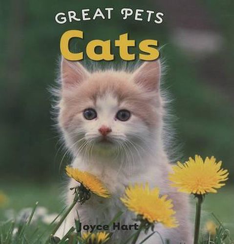 Cover image for Cats