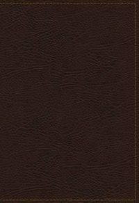 Cover image for KJV, The King James Study Bible, Bonded Leather, Brown, Red Letter, Full-Color Edition: Holy Bible, King James Version