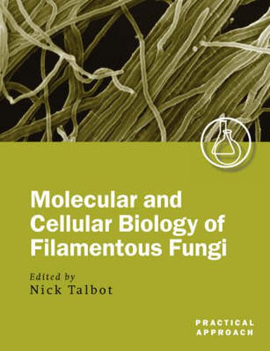 Cover image for Molecular and Cell Biology of Filamentous Fungi: A Practical Approach