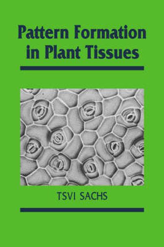 Cover image for Pattern Formation in Plant Tissues