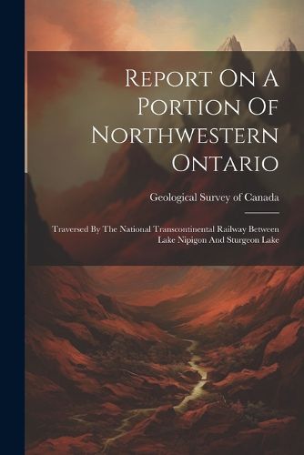 Cover image for Report On A Portion Of Northwestern Ontario