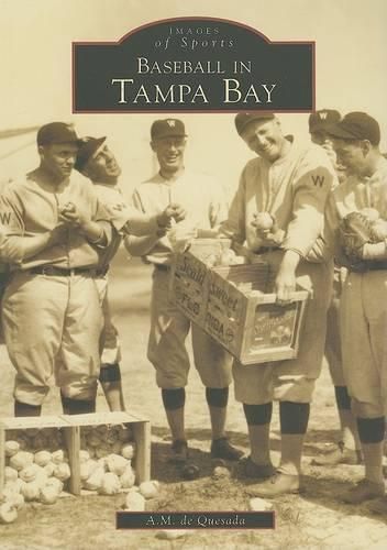 Cover image for Baseball in Tampa Bay