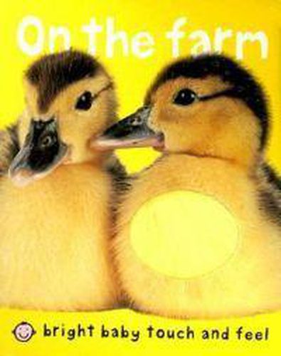 Cover image for Bright Baby Touch & Feel on the Farm