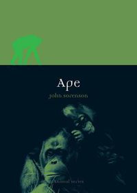 Cover image for Ape