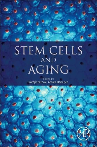 Cover image for Stem Cells and Aging