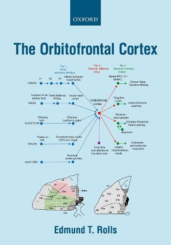 Cover image for The Orbitofrontal Cortex