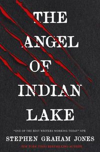 Cover image for The Angel of Indian Lake