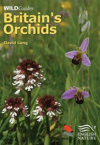 Cover image for Britain's Orchids