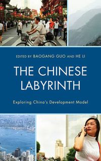 Cover image for The Chinese Labyrinth: Exploring China's Model of Development