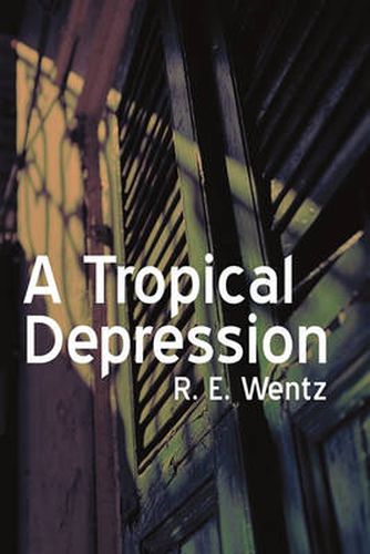 Cover image for A Tropical Depression