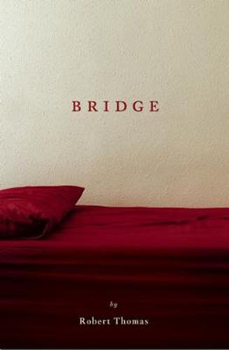 Cover image for Bridge