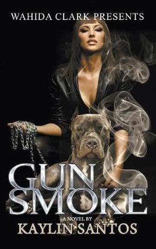Cover image for Gun Smoke