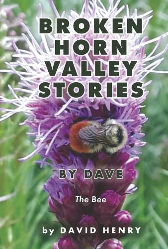 Cover image for Broken Horn Valley Stories by Dave
