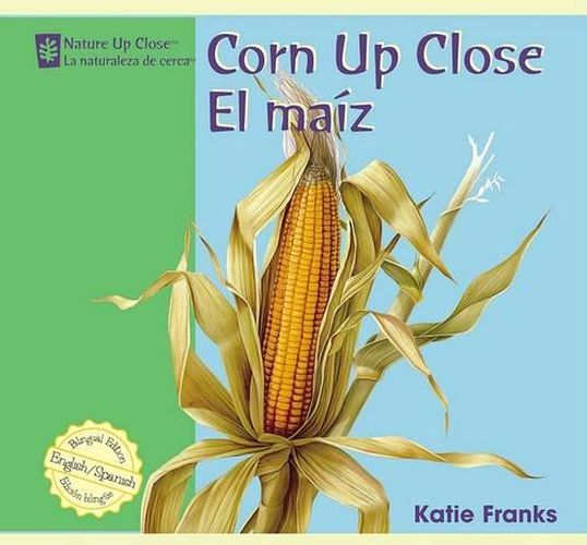 Corn Up Close / El Maiz