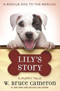 Cover image for Lily's Story: A Puppy Tale
