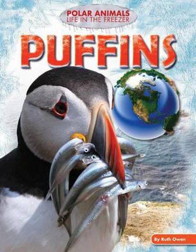 Cover image for Puffins