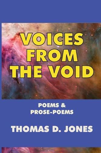 Cover image for Voices from the Void