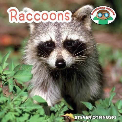 Cover image for Raccoons