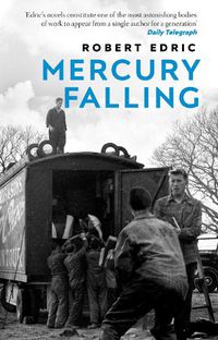 Cover image for Mercury Falling