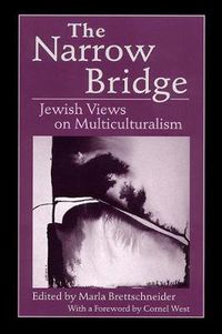 Cover image for The Narrow Bridge: Jewish Views on Multiculturalism