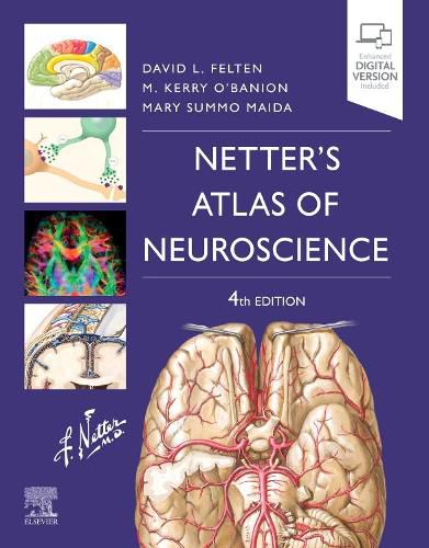 Cover image for Netter's Atlas of Neuroscience