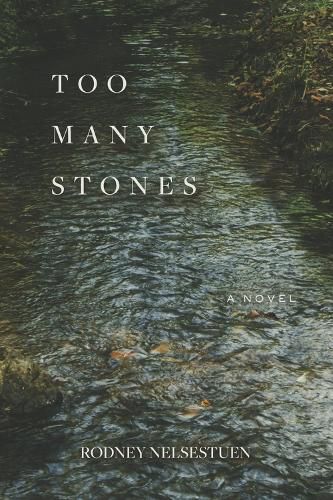 Cover image for Too Many Stones