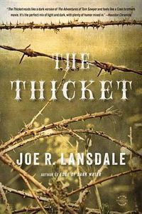Cover image for Thicket