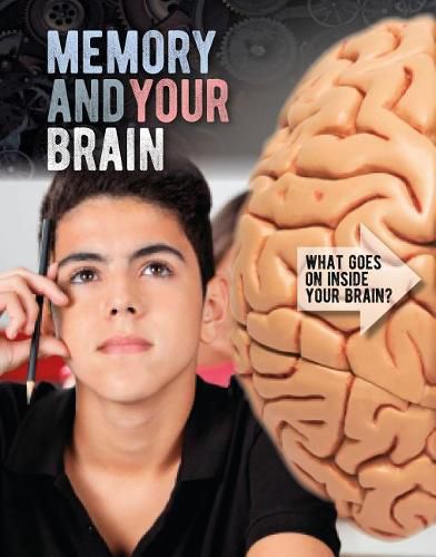 Cover image for Memory and Your Brain