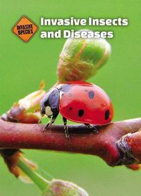 Cover image for Invasive Insects and Diseases