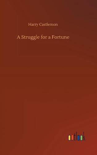 Cover image for A Struggle for a Fortune