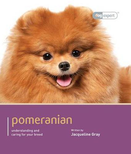 Cover image for Pomeranian - Dog Expert