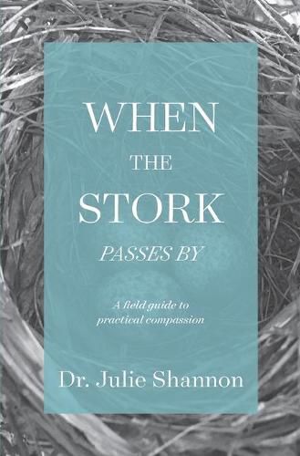 Cover image for When the Stork Passes By: A field guide to practical compassion