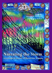 Cover image for Narrating the Storm: Sociological Stories of Hurricane Katrina